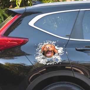 Sticker pour le visage de chien drôle