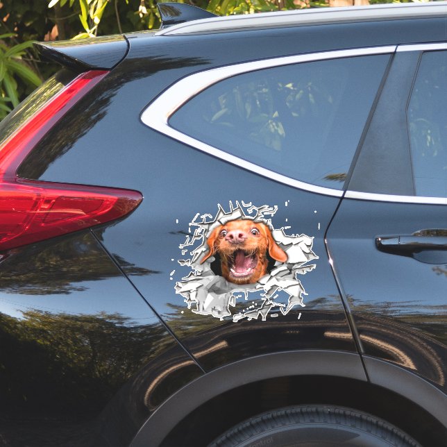 Sticker pour le visage de chien drôle (Coté voiture)