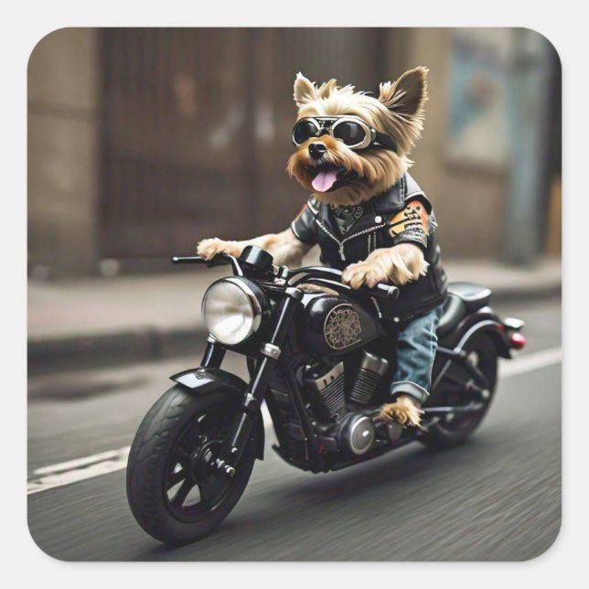Sticker pour moto Yorkie Riding (Devant)