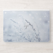 Scène hivernale - Fleur gelée