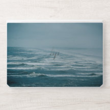 Vagues de mer hivernales