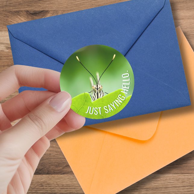 Sticker pour papillon animal à toute occasion amus (A cute grasshopper goes with just about any occasion when you might send a card to a friend. )