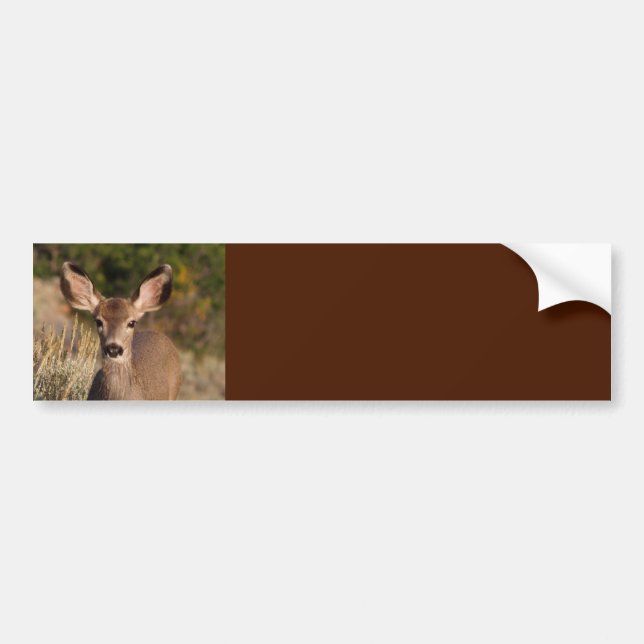 Sticker pour pare-chocs Arrière - plan cerf (Devant)