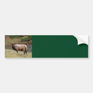 Sticker pour pare-chocs Arrière - plan Elk