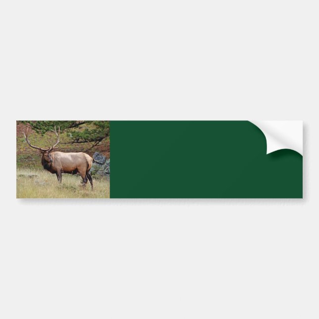 Sticker pour pare-chocs Arrière - plan Elk (Devant)