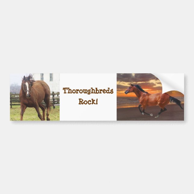 Sticker pour pare-chocs de Thoroughbreds (Devant)