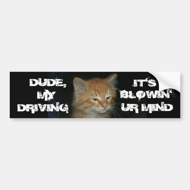 Sticker pour pare-chocs "DUDE DRIVIN BLOWIN' UR MI (Devant)
