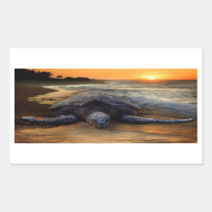 Sticker pour tortue de mer coucher du soleil