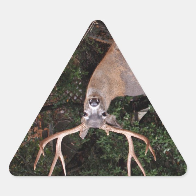 Sticker pour triangle de cerfs (Devant)