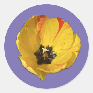 Sticker pour tulipe jaune et rouge