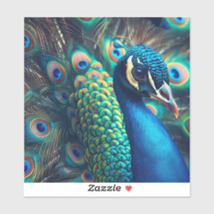 Sticker Profil Peacock