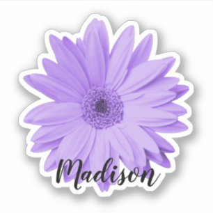 Sticker Purple Daisy Nom de la fleur