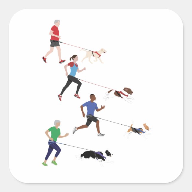 Sticker Quatuor Canicross (Devant)