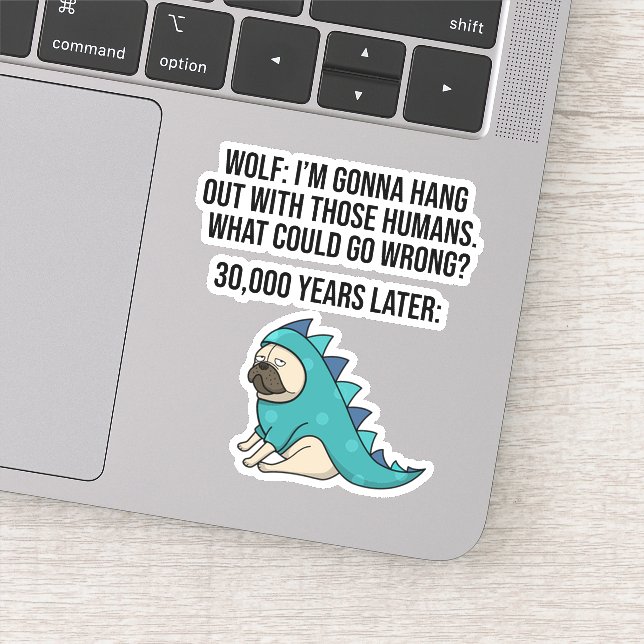 Sticker Qu'est-ce qui pourrait mal tourner drôle Wolf Carl (Détail)