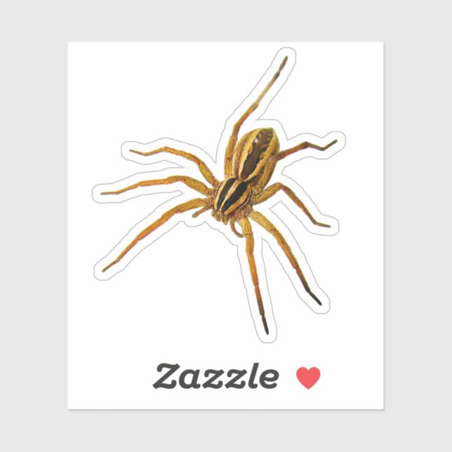 Sticker Rabid Wolf Spider (Rabidosa rabida) (Feuille)