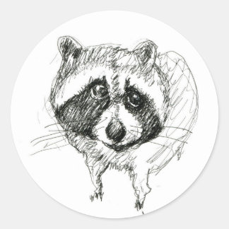 Sticker Raccoon