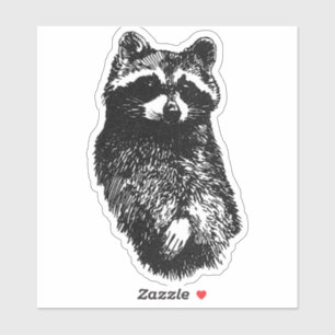 Sticker Raccoon convivial