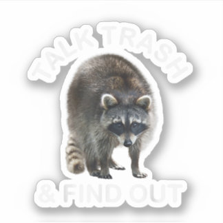 Sticker Raccoon Ridicule & Raccoon Vêtements Talk Trash an