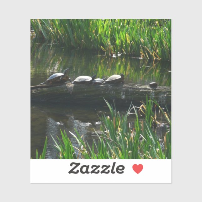 Sticker Rangée de tortues photo de la nature verte (Feuille)
