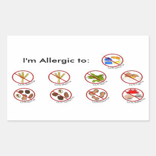Sticker Rectangulaire 100% Alimentation Allergie Libre - Choisissez votr