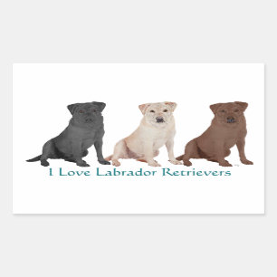 Sticker Rectangulaire 3Labs