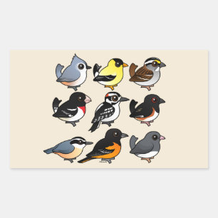 Sticker Rectangulaire 9 Oiseaux de Jardin du nord-est des États-Unis