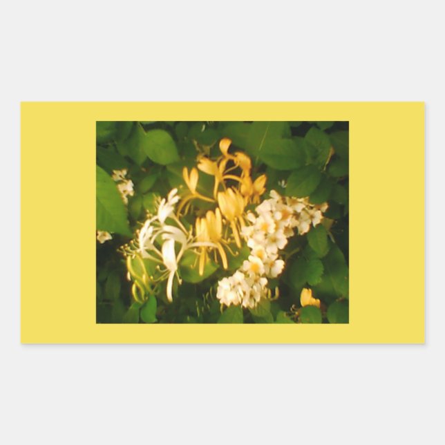 Sticker rectangulaire à ressort Rose sauvage de la (Devant)