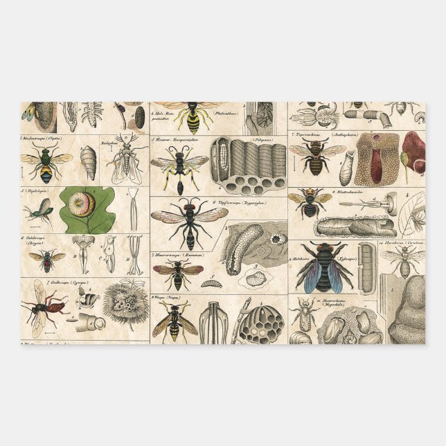 Sticker Rectangulaire Abeille Insecte Bug Wasp Nature Peinture des abeil (Devant)