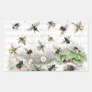 Sticker Rectangulaire Abeille Reine Entomologie Botanique Vintage