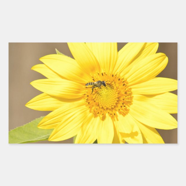 Sticker Rectangulaire Abeille sur tournesol (Devant)