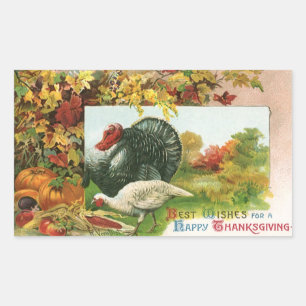 Sticker Rectangulaire Action de grâce vintage, dindes sauvages couleurs 