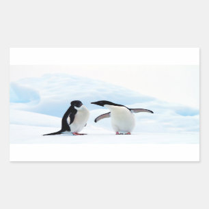 Sticker Rectangulaire Adelie Penguins