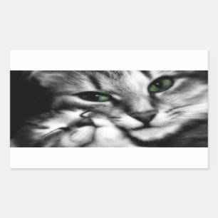 Sticker Rectangulaire Affection Feline
