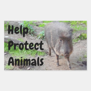 Sticker Rectangulaire Aidez à protéger les animaux Peccaire Chacoan #1 S