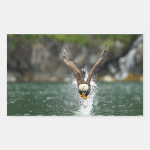 Sticker Rectangulaire Aigle Bald Le Gros Catch