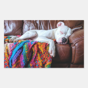 Sticker Rectangulaire Aimer Pitbull Chien Dormir sur le canapé