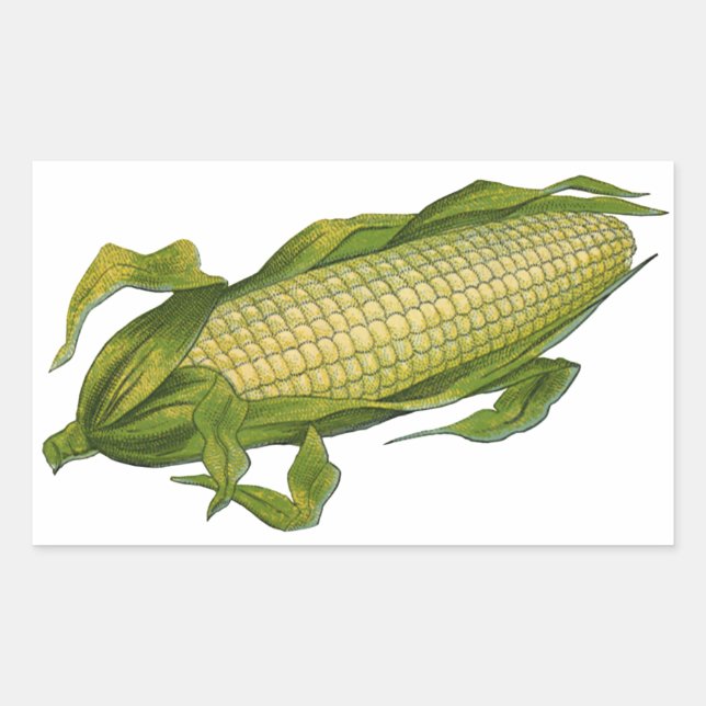 Sticker Rectangulaire Aliments Anciens, Légumes Sains, Épi de Maïs (Devant)