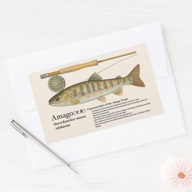 Sticker Rectangulaire Amago (Oncorhynchus masou ishikawae) (Enveloppe)