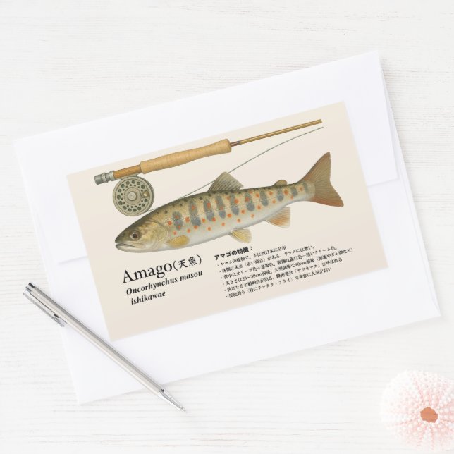 Sticker Rectangulaire Amago (Oncorhynchus masou ishikawae) – japonais (Enveloppe)