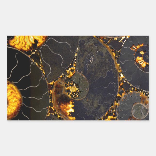 Sticker Rectangulaire Ambre doré noir Nautilus motif, fossile (Devant)