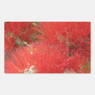 Sticker Rectangulaire Amérindienne d'Hawaï Ohia Lehua