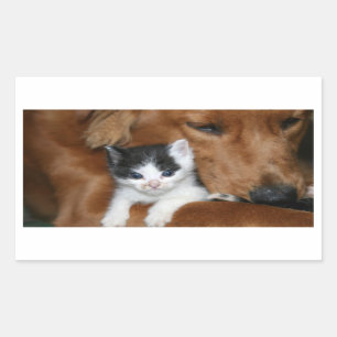 Sticker Rectangulaire Amour de chiot