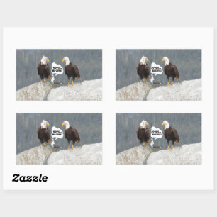 Sticker Rectangulaire Amusants aigles et mouettes