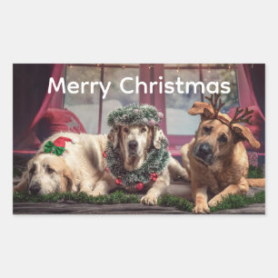 Sticker Rectangulaire Amusement de Noël 3 chiens habillés pour la saison