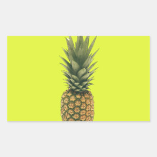 Sticker Rectangulaire Ananas doux
