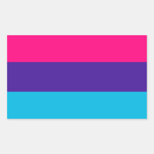 Sticker Rectangulaire Androgyne Pride