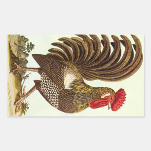 Sticker Rectangulaire Animaux de ferme vintage Poulets, fier coq