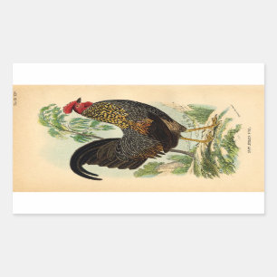 Sticker Rectangulaire Antique Pour Imprimer Le Cockerel Au Rooster Vinta