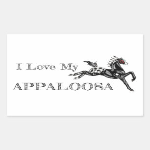 Sticker Rectangulaire Appaloosa