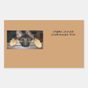 Sticker Rectangulaire Appartient à l'autocollant nommé